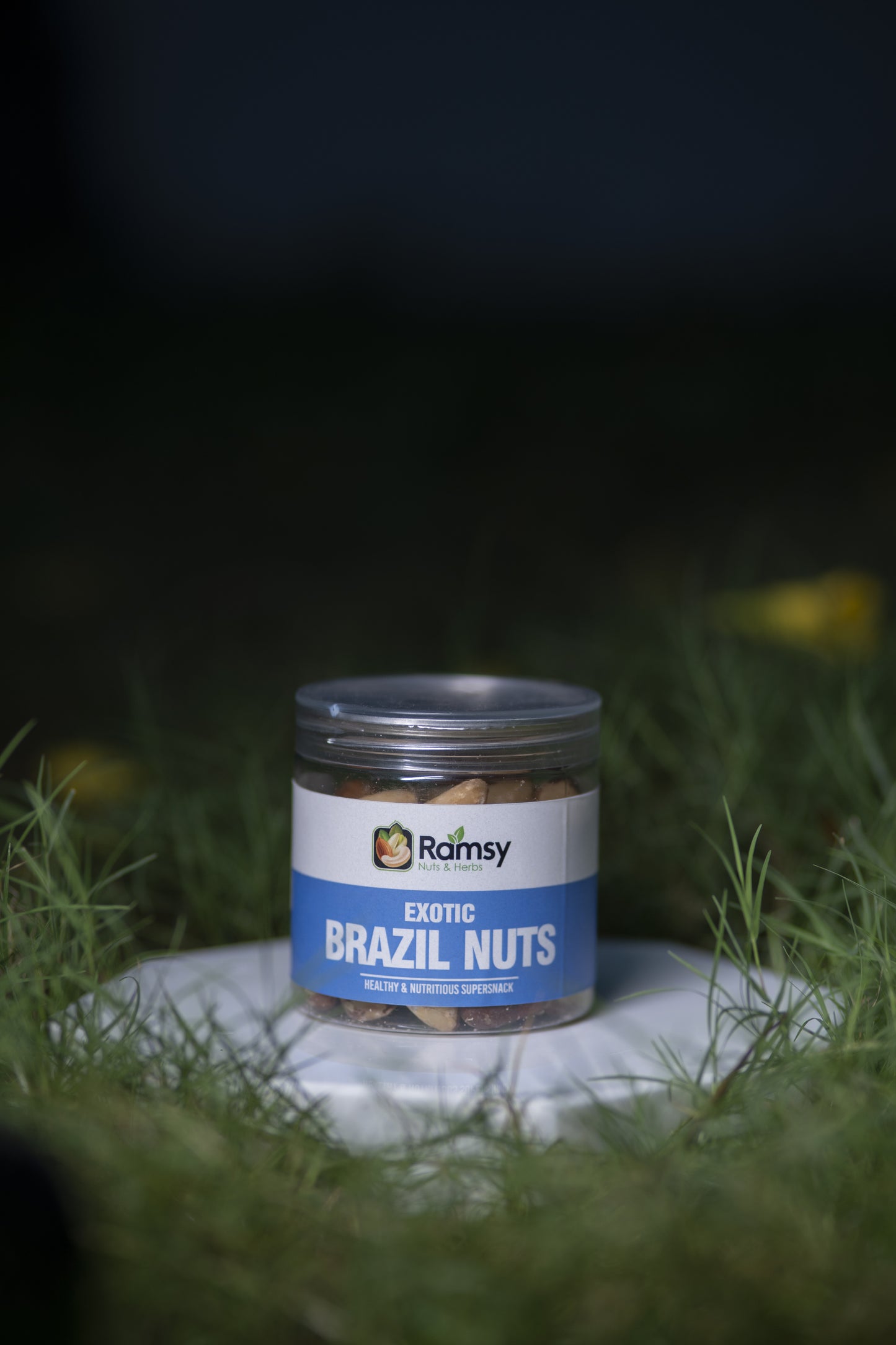 BRAZIL NUTS