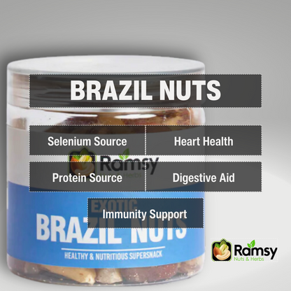 BRAZIL NUTS