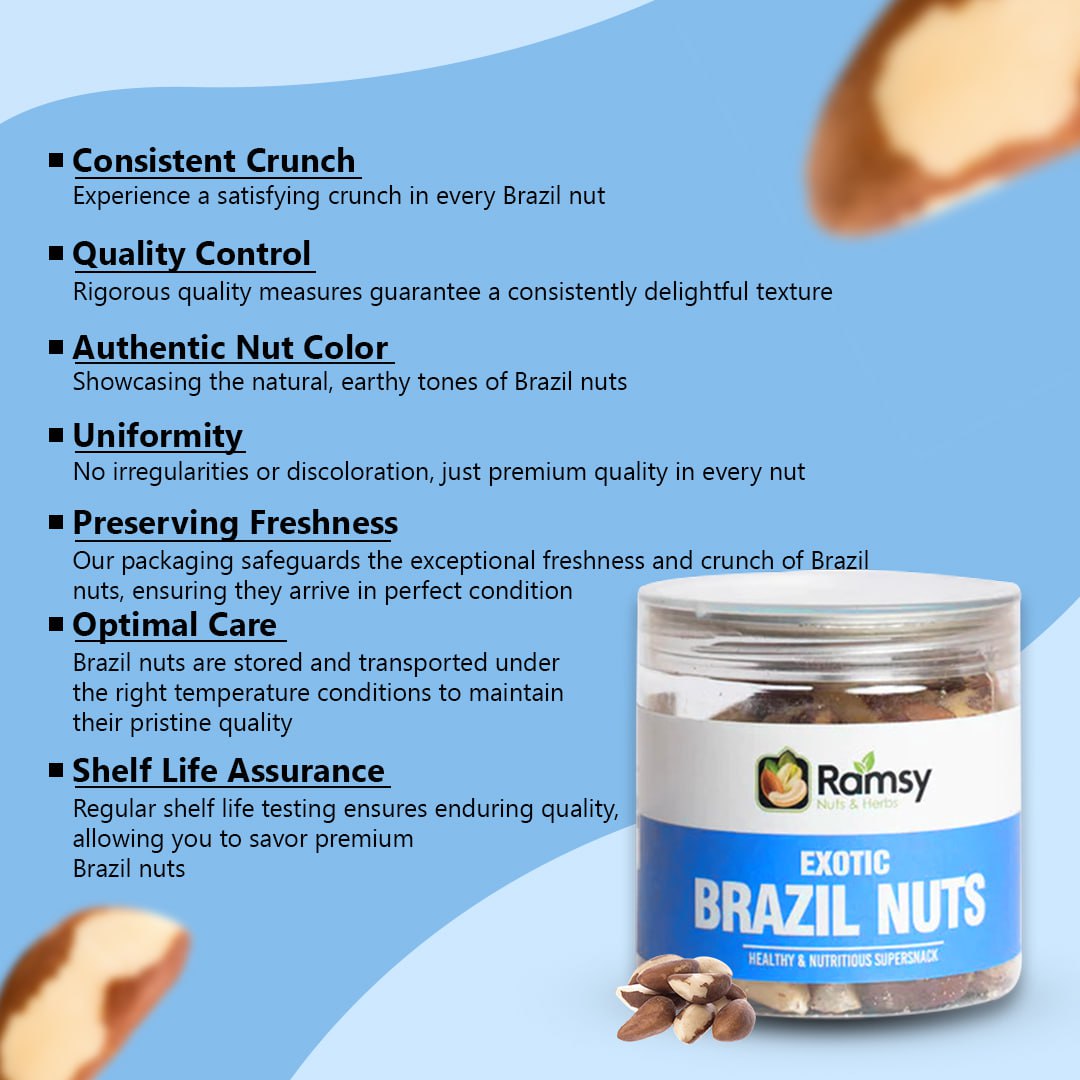BRAZIL NUTS