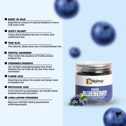 DRIED BLUEBERRY